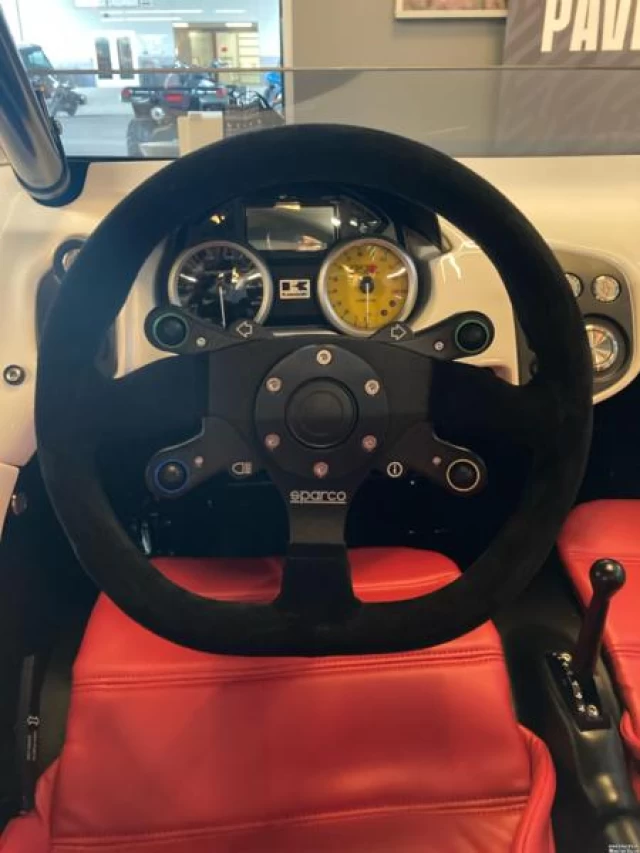 Campagna T-REX RR 2025