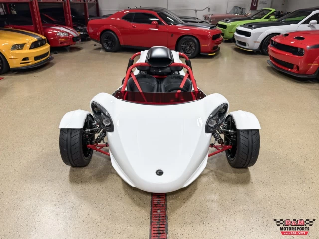 Campagna T-Rex RR 2025