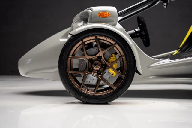 Campagna T-REX RR 2025